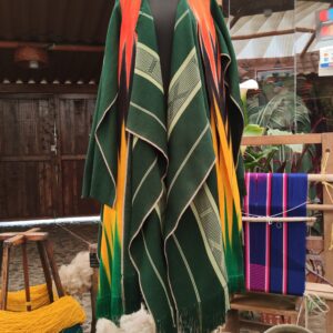 Capa Fuego Verde el Canto del Colibrí